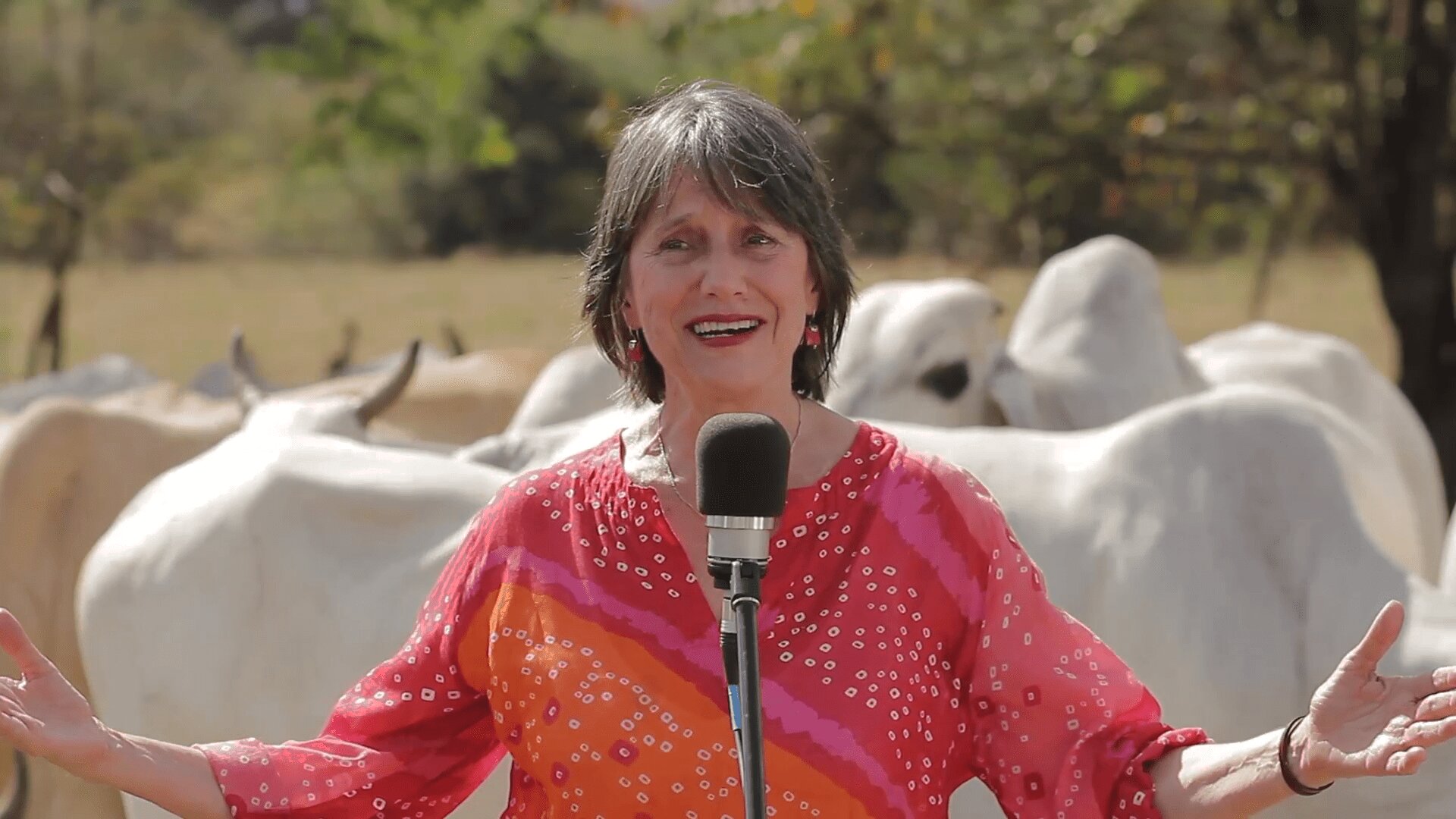 NMS Cecilia Todd